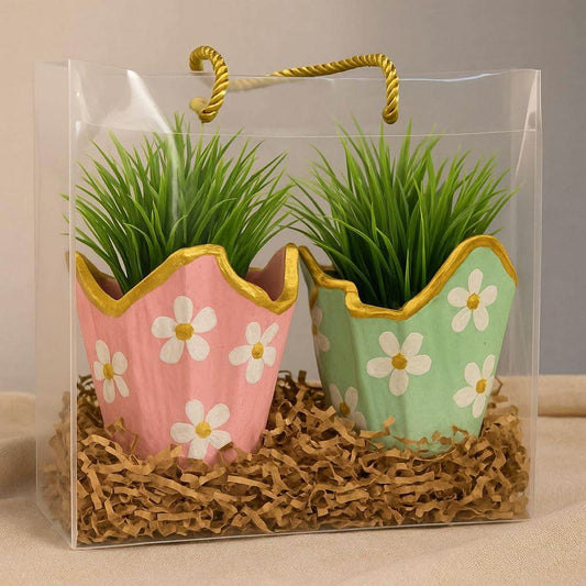 Luxury Gift Hamper Online | Designer Plant Combo with Floral Planters - Fankaarlok