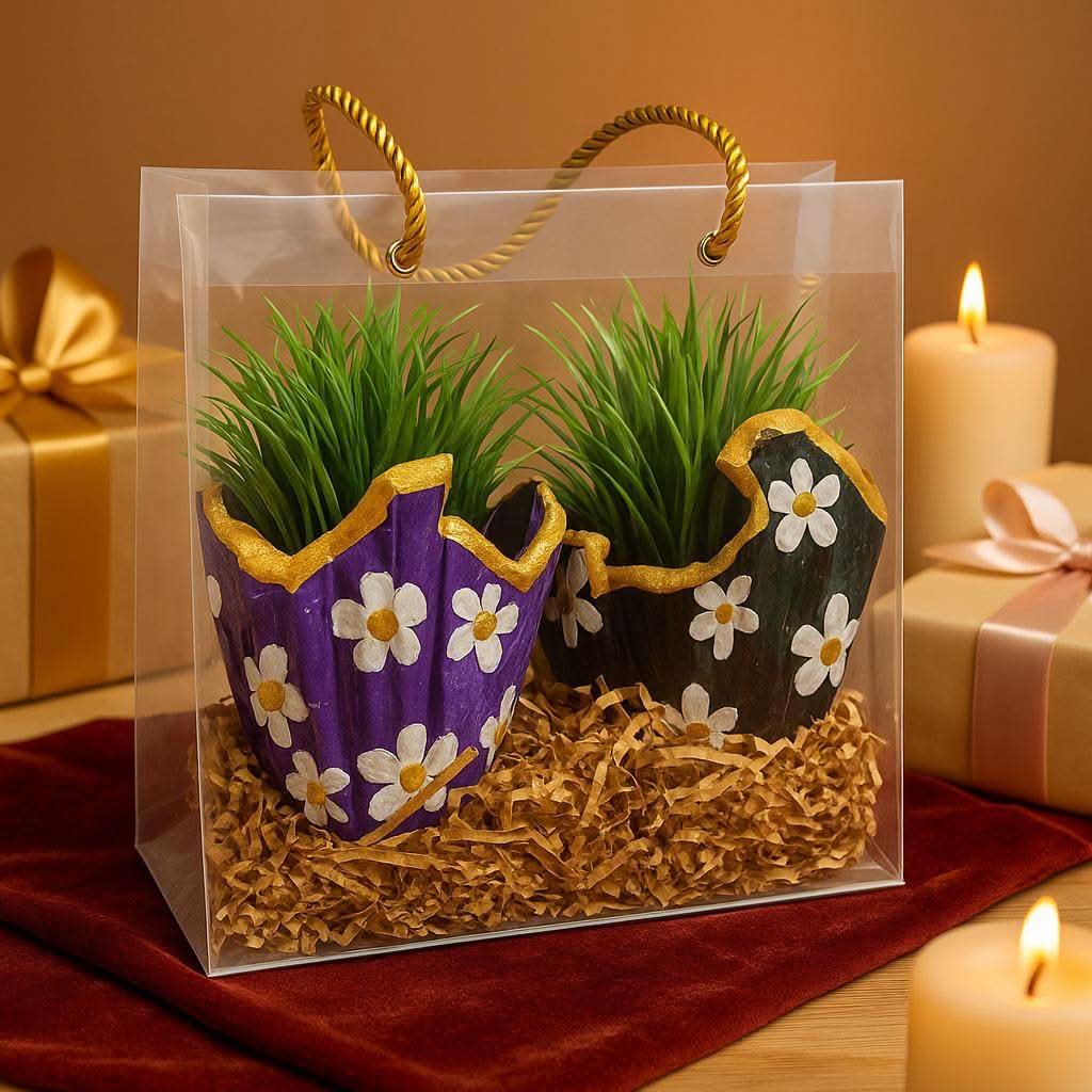 Plant Gift Combo Set | Designer Planters with Faux Greenery - Fankaarlok
