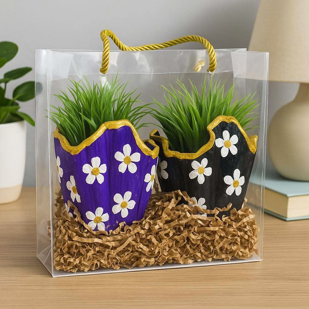 Plant Gift Combo Set | Designer Planters with Faux Greenery - Fankaarlok