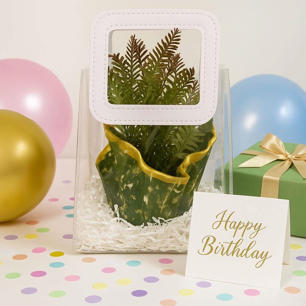 Indoor Plant Gift Hamper | Designer Planter with Faux Greenery - Fankaarlok