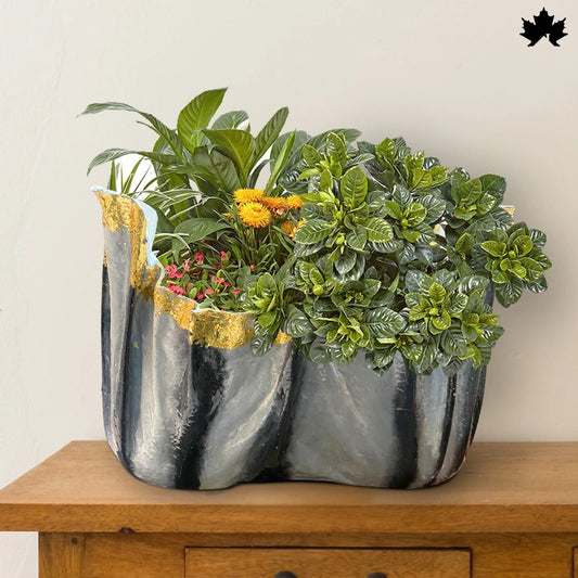Monarch Grandeur – Large Indoor Planter for Home Décor | Fankaarlok