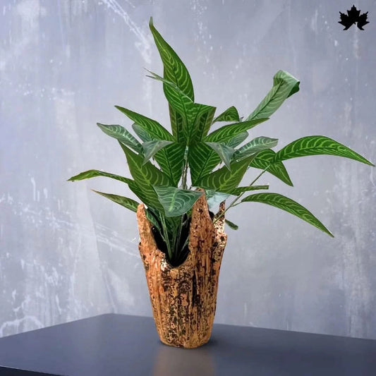 Golden Midnight Blue - Unique Plant Holder | Fankaarlok - Fankaarlok