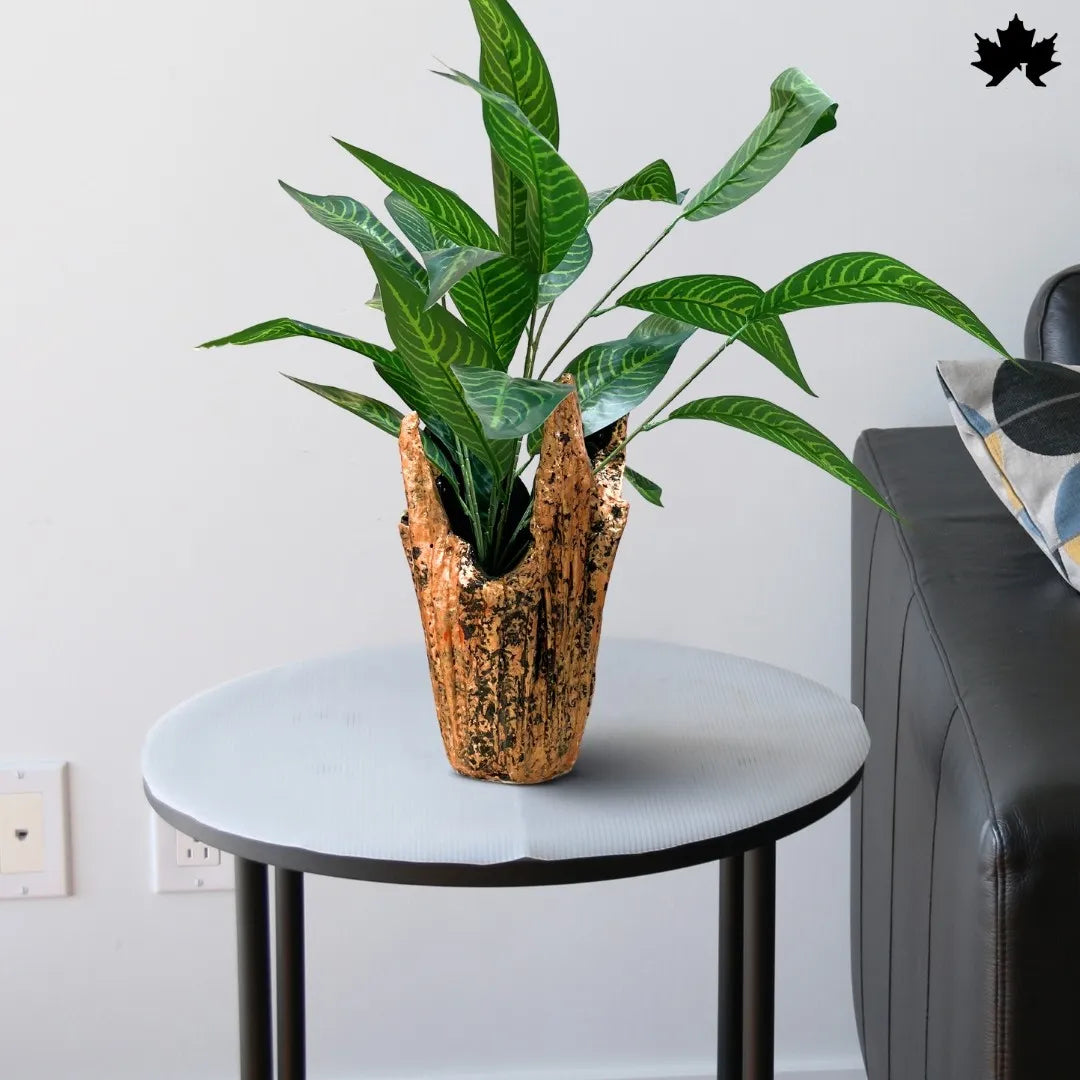 Rustic Terra Luxe – Trendy Indoor Plant Pots Online | Fankaarlok