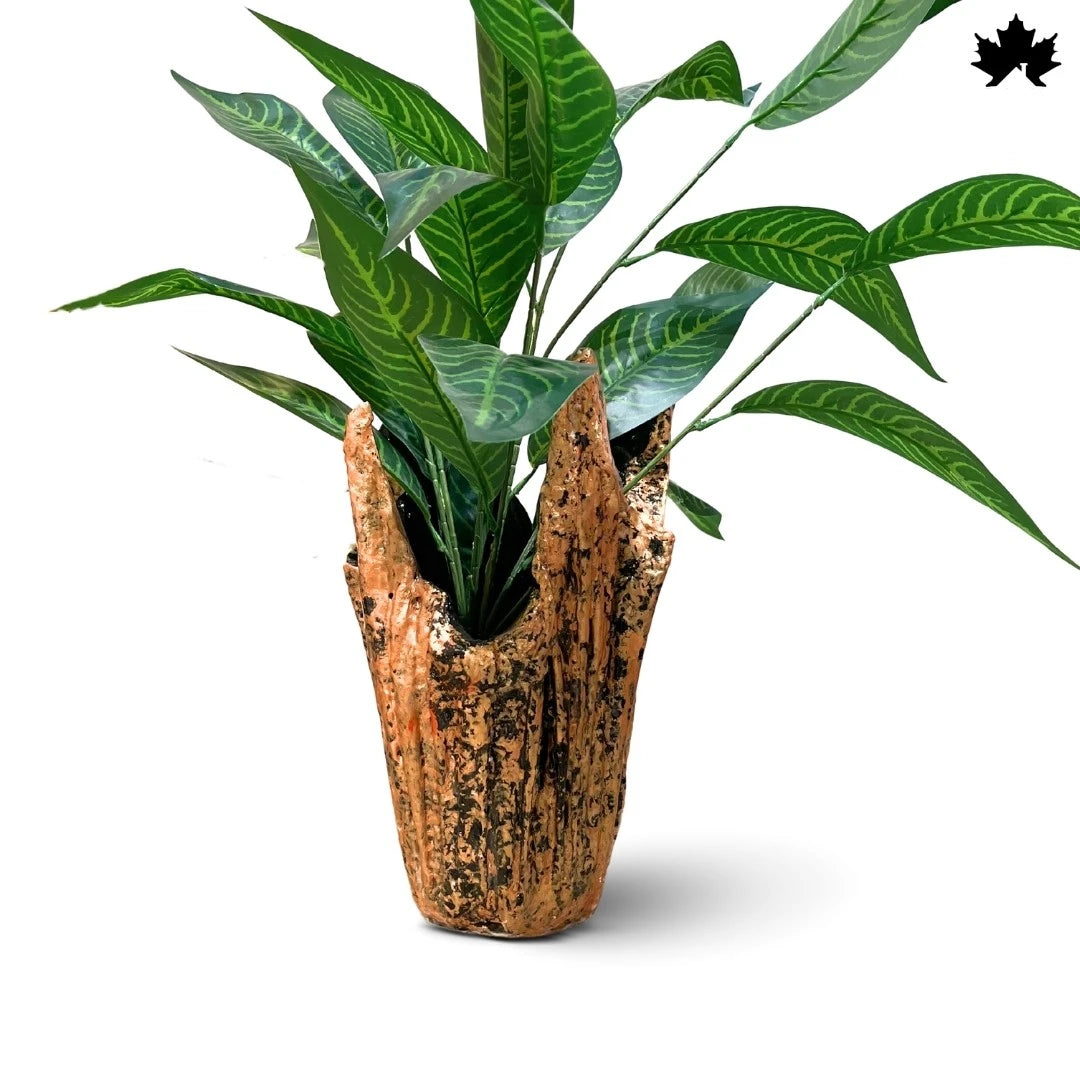 Rustic Terra Luxe – Trendy Indoor Plant Pots Online | Fankaarlok