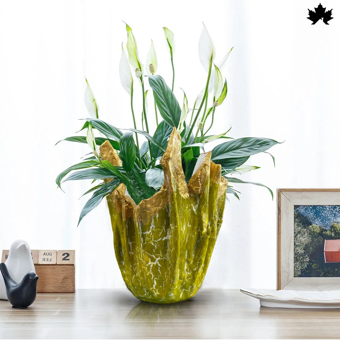 Golden Verde Luxe – Premium Desk Planter for Office | Fankaarlok